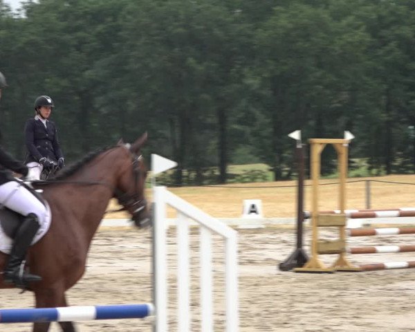 Reitturnier Wohlesbostel 2022