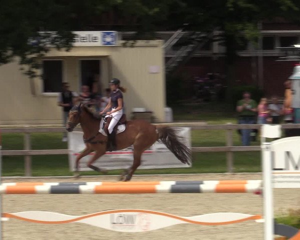 Reitturnier Barlo-Bocholt 2022