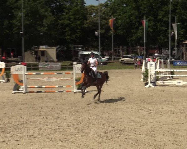 Reitturnier Barlo-Bocholt 2022