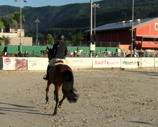 Reitturnier Balsthal 2022