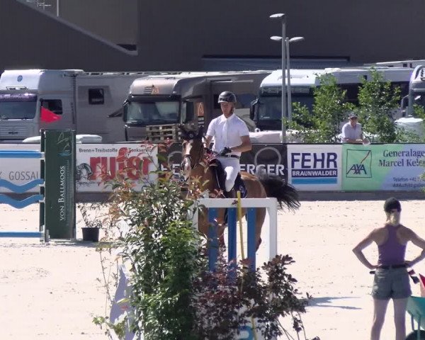 Reitturnier Gossau 2022