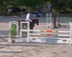 jumper Ludo 25 (Rhinelander, 2003, from Lord Lancer)
