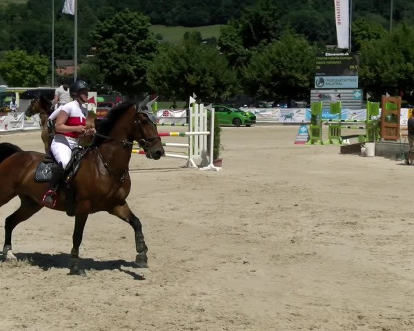 Reitturnier Balsthal 2022