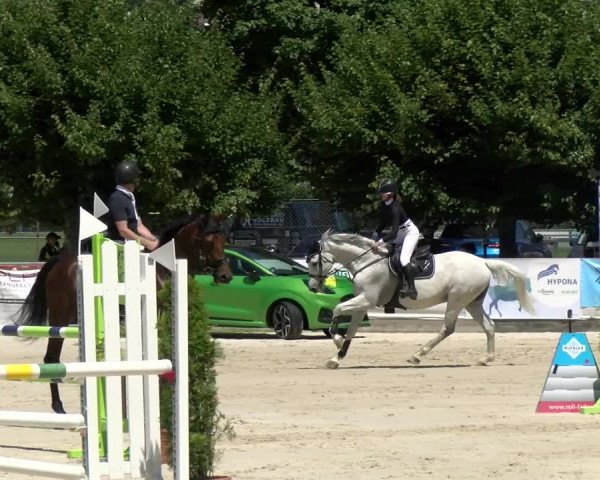 Reitturnier Balsthal 2022