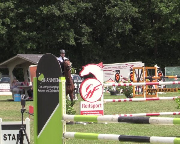 Reitturnier Wohlesbostel 2022