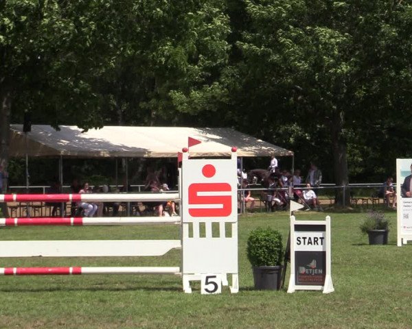 Reitturnier Wohlesbostel 2022