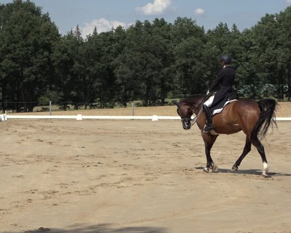 Reitturnier Wohlesbostel 2022