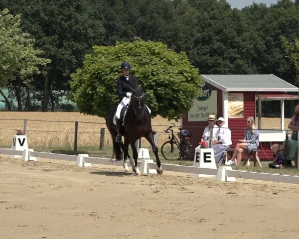Reitturnier Wohlesbostel 2022
