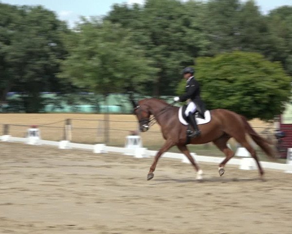 Reitturnier Wohlesbostel 2022