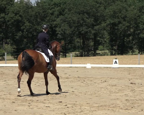 Reitturnier Wohlesbostel 2022