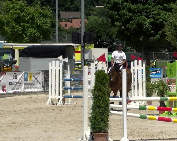 Reitturnier Balsthal 2022