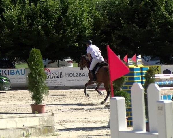 Reitturnier Balsthal 2022