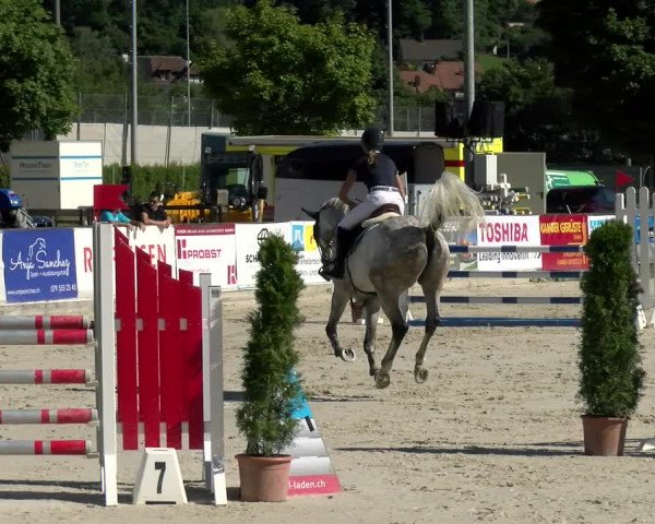 Reitturnier Balsthal 2022