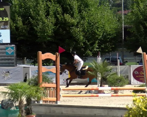 Reitturnier Balsthal 2022