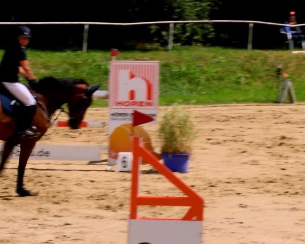 Reitturnier Viersen-Dülken 2022