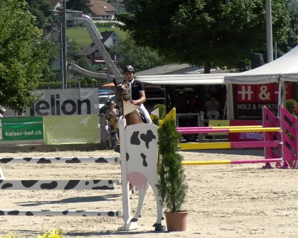Reitturnier Balsthal 2022