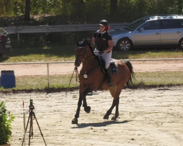 Reitturnier Heiligenwald 2022