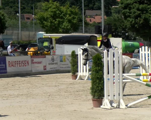 Reitturnier Balsthal 2022