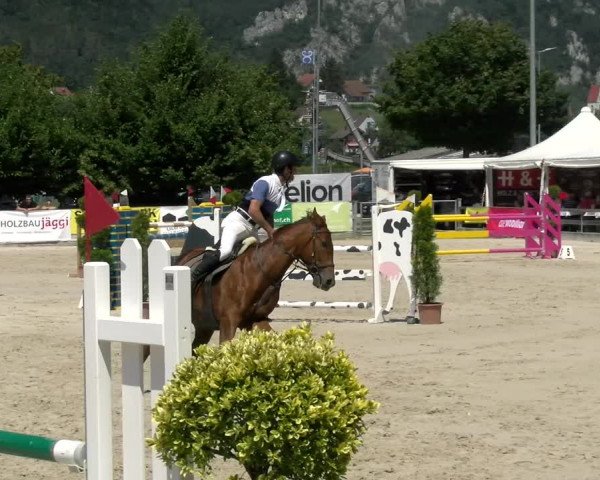Reitturnier Balsthal 2022