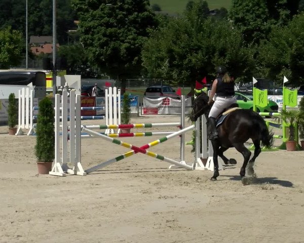 Reitturnier Balsthal 2022