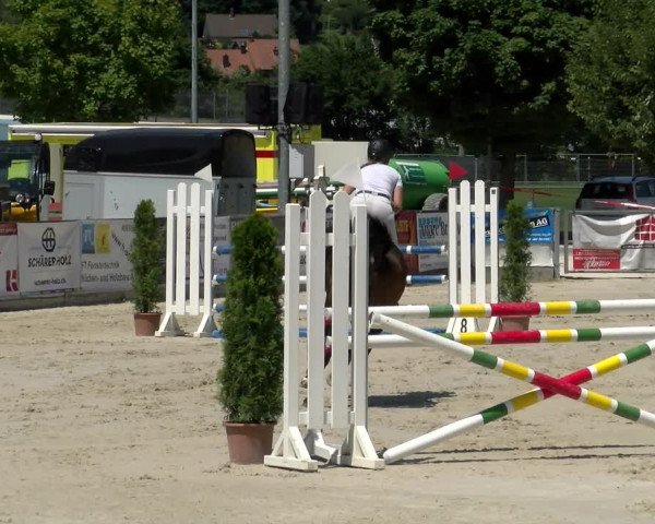 Reitturnier Balsthal 2022