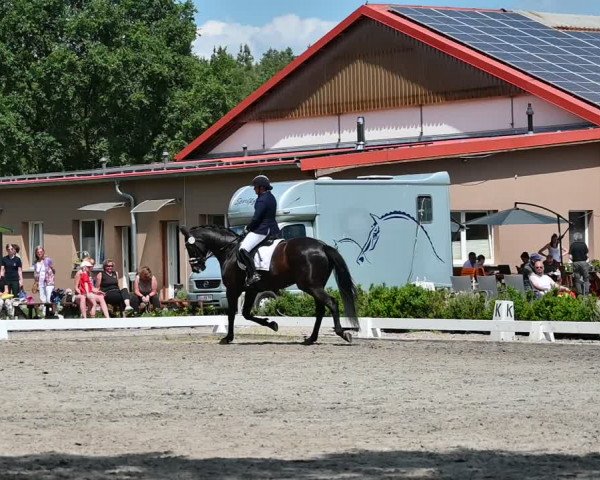 Reitturnier Schönwalde-Glien 2022