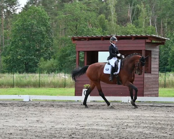 Reitturnier Schönwalde-Glien 2022
