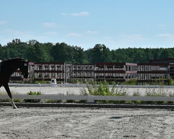 Reitturnier Schönwalde-Glien 2022