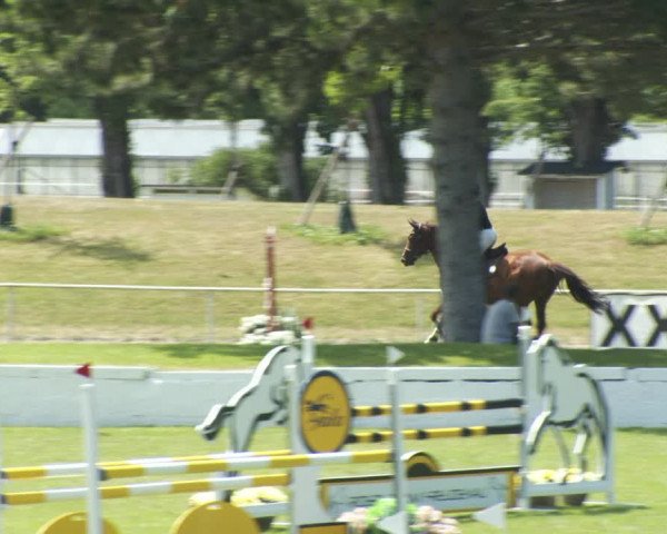 Reitturnier W, Wien-Freudenau/ASKÖ 2022