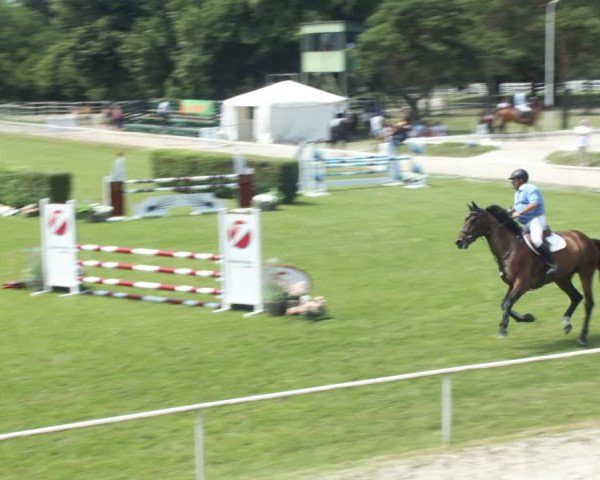 Reitturnier W, Wien-Freudenau/ASKÖ 2022