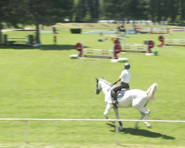 Reitturnier W, Wien-Freudenau/ASKÖ 2022