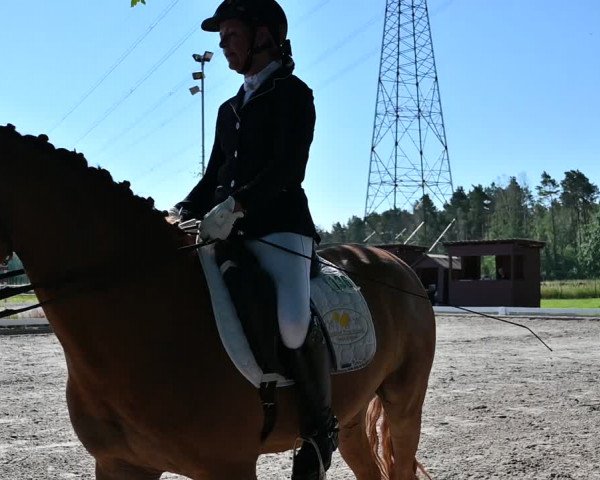 Reitturnier Schönwalde-Glien 2022