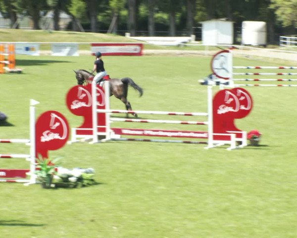Reitturnier W, Wien-Freudenau/ASKÖ 2022