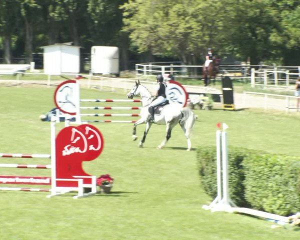 Reitturnier W, Wien-Freudenau/ASKÖ 2022