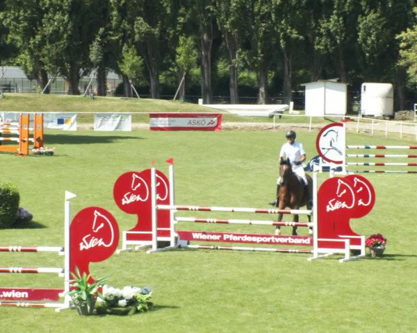 Reitturnier W, Wien-Freudenau/ASKÖ 2022