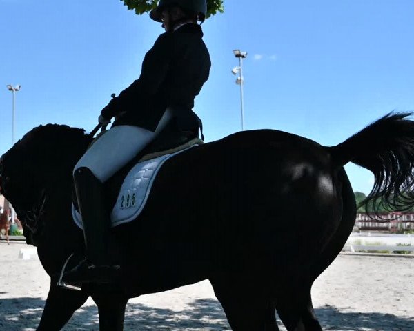 Reitturnier Schönwalde-Glien 2022