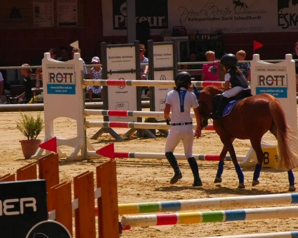 Reitturnier Uder, Reitanlage Kobold 2022