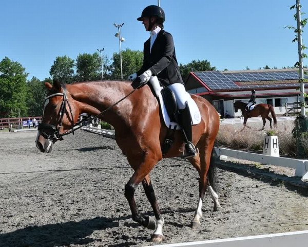 Reitturnier Schönwalde-Glien 2022