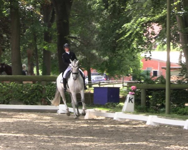 Reitturnier Barlo-Bocholt 2022