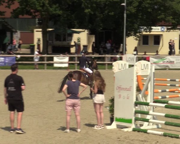 Reitturnier Barlo-Bocholt 2022