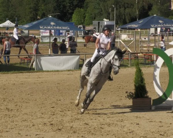 Reitturnier Heiligenwald 2022