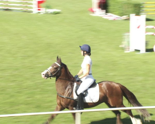 Reitturnier W, Wien-Freudenau/ASKÖ 2022