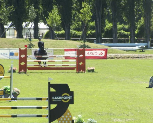 Reitturnier W, Wien-Freudenau/ASKÖ 2022