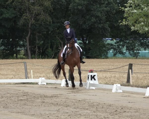 Reitturnier Wohlesbostel 2022