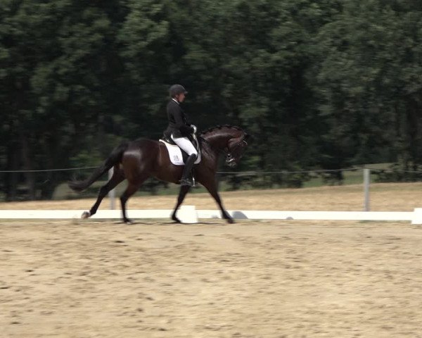 Reitturnier Wohlesbostel 2022
