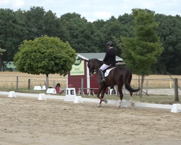 Reitturnier Wohlesbostel 2022