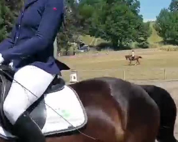 Video of Maraike 4
