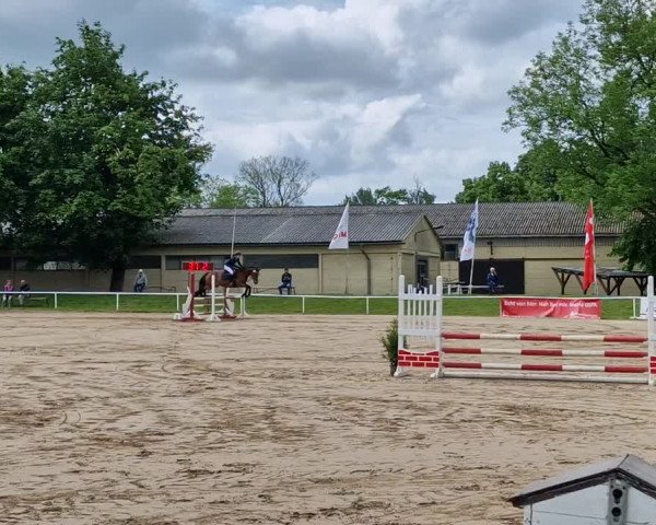Reitturnier Dummerstorf 2022