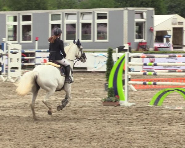 Reitturnier Neustadt/Dosse 2022