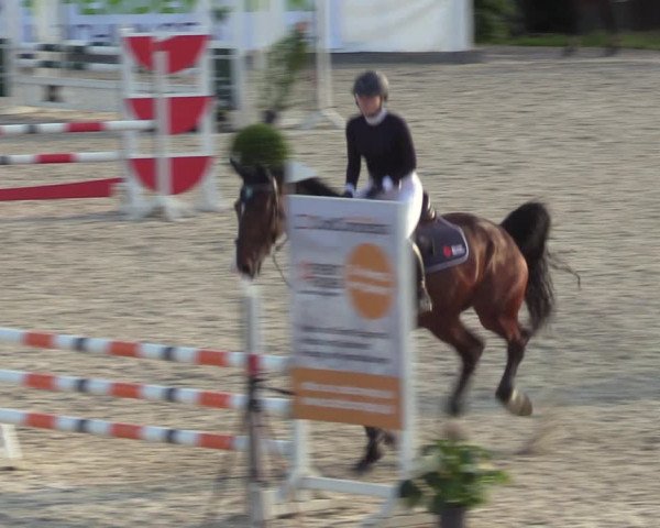 Reitturnier Leichlingen-Witzhelden - Sieferhof 2022